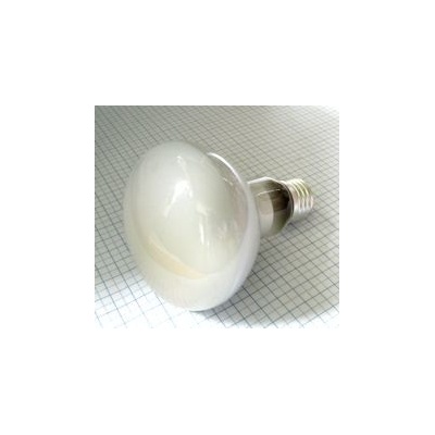 BELLIGHT Žiarovka 240V 60W E27 R80 80x115mm