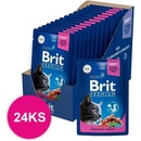 Brit Premium Cat Chicken & Turkey 24 x 100 g