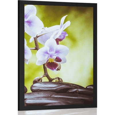 Plakát zen kameny a orchidej - 20x30 no frame