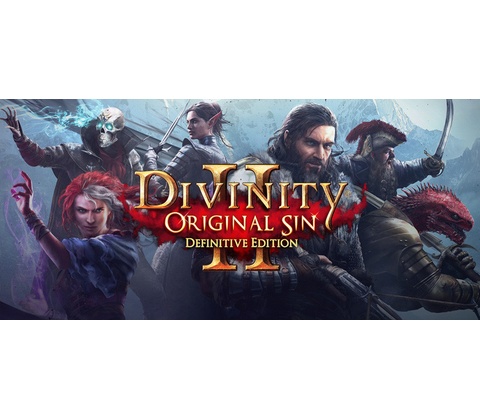 Divinity: Original Sin 2