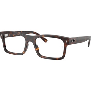 Ray-Ban RX5435 2012
