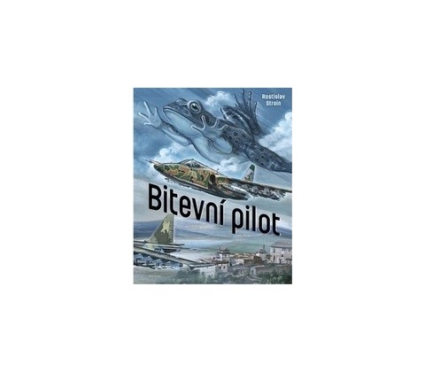 Bitevní pilot - Stroin Rostislav