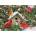 Cobble Hill - Puzzle Festive Feast - 1 000 piese