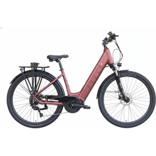 PELLS Thorr Bosch Lowstep EQ 2026
