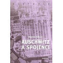 Auschwitz a spojenci