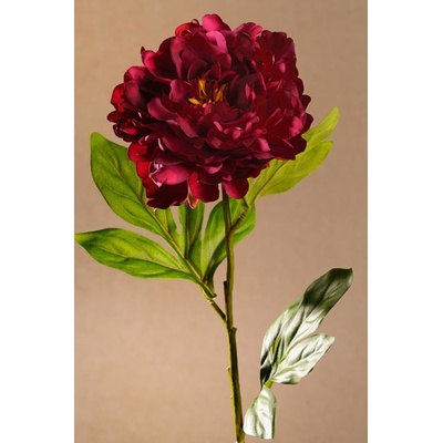 Paramit BLOOMING PEONY Aranžovací květina vínová 77 cm