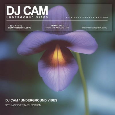DJ Cam: Underground Vibes (30th Anniversary) LP
