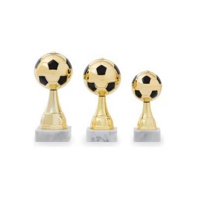 Pohár fotbal PS 22502.2
