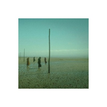 DEVIL\'S WITCHES - IN ALL HER FORMS LP