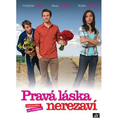 DM discont Pravá láska nerezaví - DVD (003723)