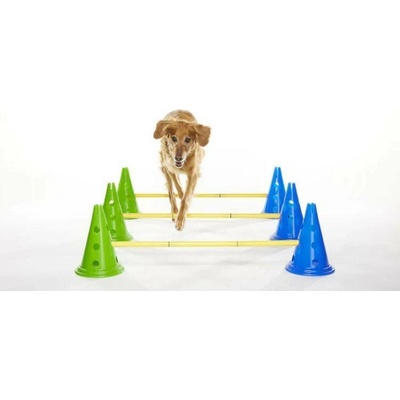 FitPaws CanineGym Sada Agility pro psy