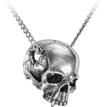 Alchemy gothic Нашийник ALCHEMY GOTHIC - Remains - P886