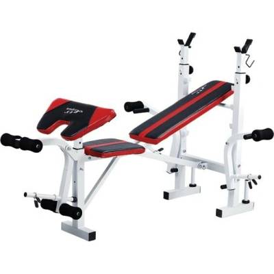 Spartan Bench Lavička + bicepsový pult 1514 – Hledejceny.cz