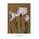 Принт Iris Kæmpferi, Огава Казумаса - репродукция (Print1072)