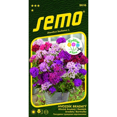 Semo Hvozdík bradatý - Fragrance mix 0,5 g - séria KVETY K REZU