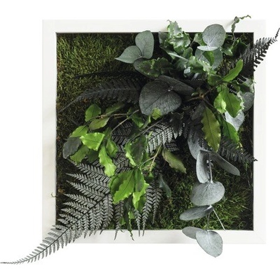 Obraz z rostlin styleGREEN Džungle 22x22cm