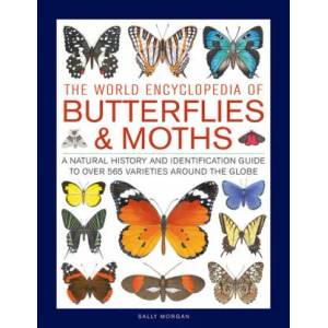 Butterflies & Moths, The World Encyclopedia of (ISBN: 9780754834762)