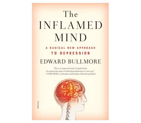 INFLAMED MIND