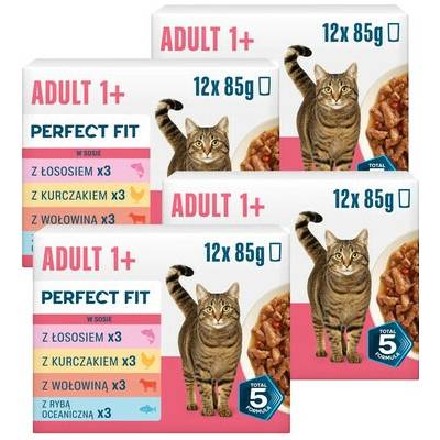 PERFECT FIT Adult 1+ Mix Příchutí 48 x 85 g