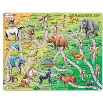 Image 1 of Larsen - Пъзел: Образователен - "Еволюция" - 83 части, голям