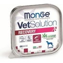 Monge VetSolution Dog Recovery 150 g