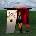 Alice et Moi - Photographie (Red Coloured) (LP) (0196588008917)