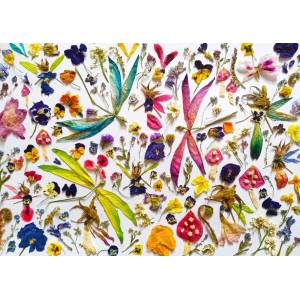 Enjoy - Puzzle Fairies and Dragonflies - 1 000 piese