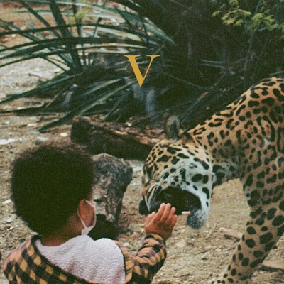 UNKNOWN MORTAL ORCHESTRA - V Legendary Edition LP