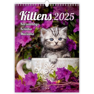 Koťátka nástěnný Helma 2025