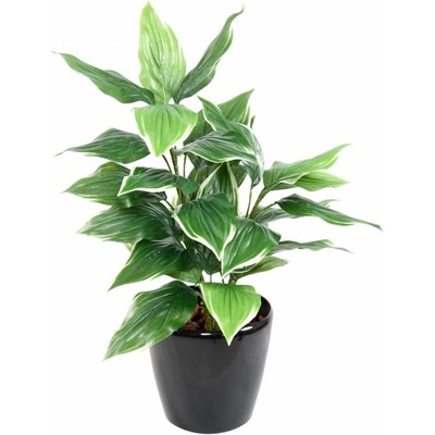 Umělá rostlina Hosta 28 listů, 70 cm