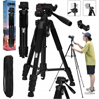 DNA T181