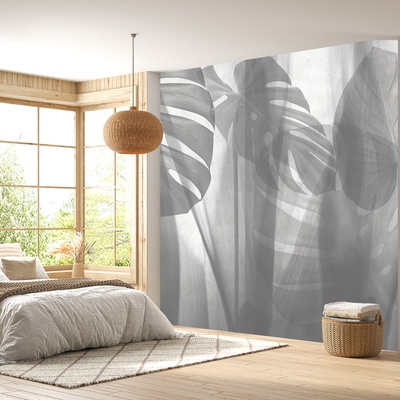 Decono Фототапет Сив Тропик