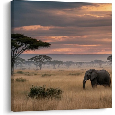 Obraz africká krajina s akácií - 50x50