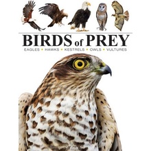 Birds of Prey Jackson Tom