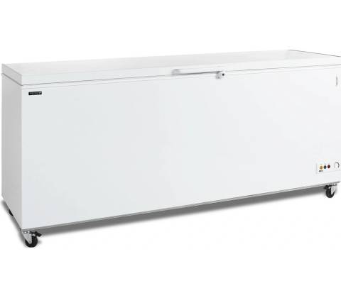 Tefcold CF 700
