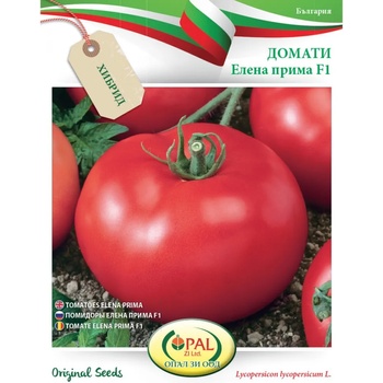 Image 1 of Opal Zi Домати Елена прима f1