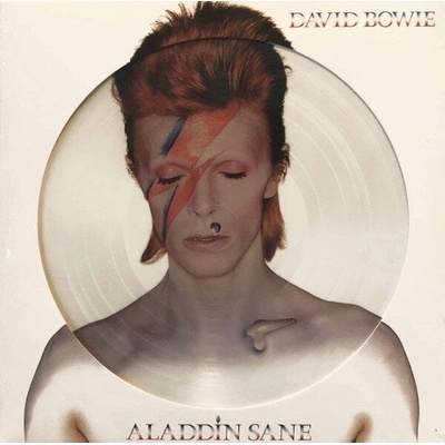 David Bowie - Aladdin Sane (Picture Disc) (Reissue) (Remastered) (LP) (5054197183133)