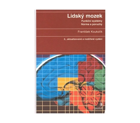 Lidský mozek
