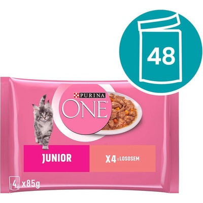Purina One Junior mini filetky s lososom a mrkvou v šťave 48 x 85 g