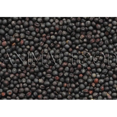 Deli Nature Repka olejná 2 kg