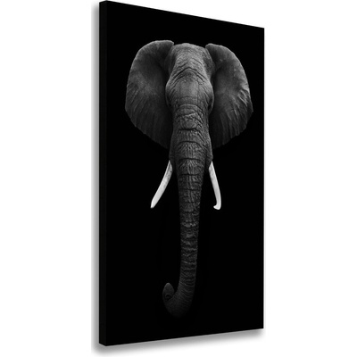 Vertikálny foto obraz na plátne Africký slon 50x100 cm
