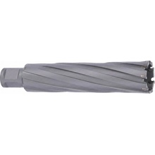 Abse N-CA-W19-0530100