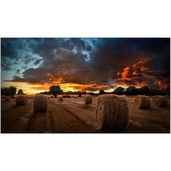 Image 1 of Samsung VM46B-U