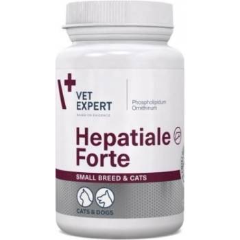 VetExpert Hepatiale Forte Small Breed cats - хранителна добавка за кучета мини породи и котки, за подпомагане чернодробната им функция, 40 капсули, Vet Expert - Полша