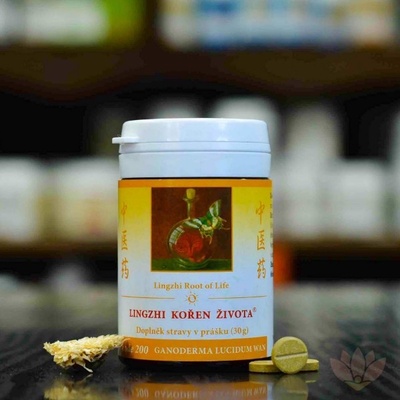 TCM Herbs Lingzhi Kořen života 200 Ganoderma 30 g práškového extraktu