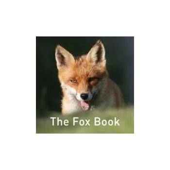 Image 1 of Fox Book | Jane Russ