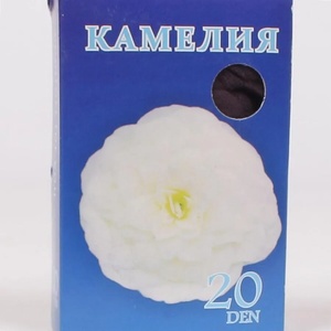  Дамски тъмносив класически чорапогащник - 20 den