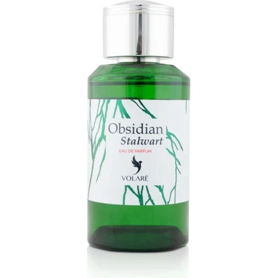 Volare obsidian stalwart parfémovaná voda unisex 100 ml