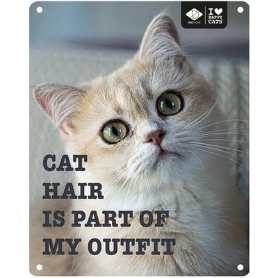 EBI D&D kovová tabuľa: ,,Cat hair is part of my outfit\" 20 x 25 cm