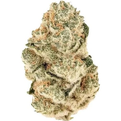 Fastbuds Gorilla Melon semienka neobsahujú THC 10 ks